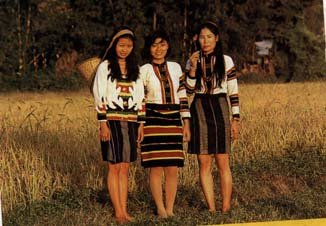 nagalandwom.JPG (25519 bytes)