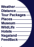 top.gif (3854 bytes)